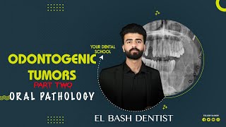 odontogenic tumors  part 2  oral pathology عزت شومان [upl. by Friend132]