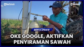 PETANI BANTUL VIRAL KELOLA LAHAN PAKAI BANTUAN GOOGLE ASSISTANT [upl. by Muhcon]