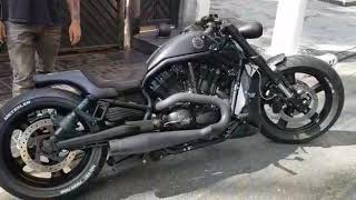 HD VRod 300 mm [upl. by Ethe615]