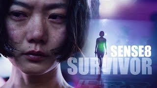 Sun Bak  Im a Survivor [upl. by Hutchins]