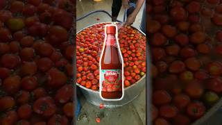 Tomato Ketchup Banta Hai Factory Mein shorts making shortvideo [upl. by Ahsila]