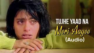 Tujhe Yaad Na Meri Aayee  KKHH  Udit amp Alka  Use 🎧  Reverb EQ  Sony Music  MusicBeyondYours [upl. by Akla538]