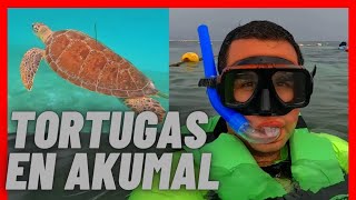 Akumal Playa Que hacer y Como Nadar con Tortugas [upl. by Tayler200]