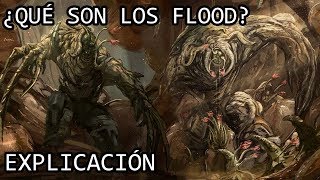 ¿Qué son los Flood de Halo EXPLICACIÓN  Los Flood de Halo EXPLICADOS [upl. by Nitsuga423]