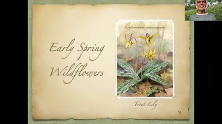 IUN Community Garden Early Spring Wildflowers  2024 [upl. by Eniale]