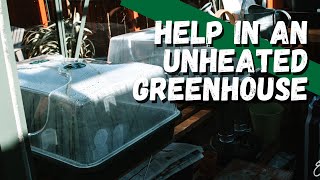 Tricks for a frost free greenhouse  How to use propagators to protect plants from the cold [upl. by Atinele]