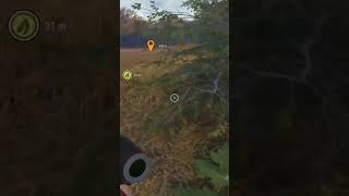 Deer Stalker hunting gaming reddeer [upl. by Sacken]