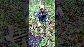 trap bushcraft trapping trap survival [upl. by Sublett]