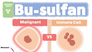 Busulfan Mechanism of Action  Chemotherapy [upl. by Ribak]