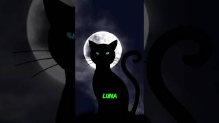 En muchas culturas se ha asociado a los gatos con la luna [upl. by Ashraf813]