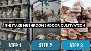 Shiitake Mushroom indoor Cultivation at home  Commercial Farming amp marketing of Lentinus edodes [upl. by Mokas906]