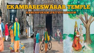 3500 YEAR 0LD MANGO TREE EKAMBARESWARAR TEMPLE PRITHVI LINGAM TEMPLE [upl. by Gerius430]