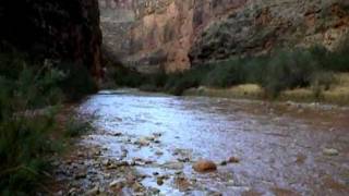 Kanab Creek Flash Flood  Grand Canyon [upl. by Noiramed]