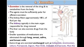 🔴 11 Excretion of drugs DrHazem Sayed [upl. by Nanfa]