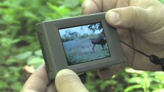 Moultrie Universal Picture Viewer [upl. by Eerahc196]