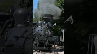 🚂 Shay 4  Cass Scenic Railroad quotParade Of Steamquot 🚂🚂🚂🚂 [upl. by Oakes]