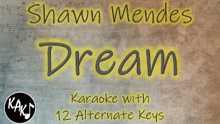 Dream Karaoke  Shawn Mendes Instrumental Cover Lower Higher Female Original Key [upl. by Hillell]