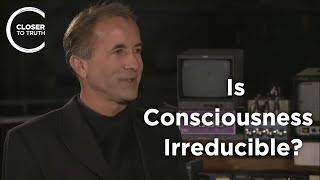 Michael Shermer  Is Consciousness Irreducible [upl. by Naimad]