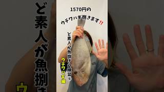 【魚捌き⑤】ど素人が初めて ウチワハギ捌いてみた‼️魚捌き練習ウチワハギ編 魚 魚捌き 魚の捌き方 ウチワハギ 料理 [upl. by Kronick]