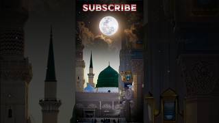 Tasveer Muhammad Arbi Di shortvideo shortsviral youtubeshorts islamicscholar love [upl. by Mroz]