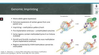 Histone acetylation and methylation [upl. by Ecinej567]