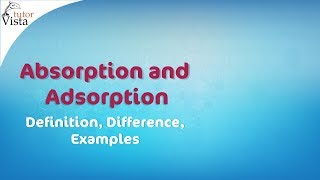 Absorption and Adsorption  Definition Difference Examples [upl. by Stutzman318]