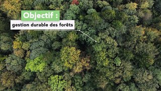 Objectif  gestion durable des forêts [upl. by Milah98]