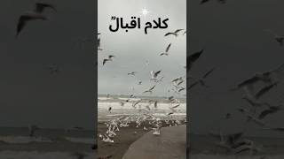 Top Allama iqbal shayari Allama Iqbal Poetry in Urdu iqbal poetry in Urdu ashar of Allama iqabla [upl. by Jorin]