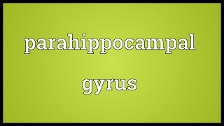 Parahippocampal gyrus Meaning [upl. by Ermin782]