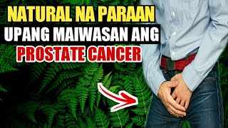 ITO PALA ANG NATURAL NA PARAAN UPANG MAKAIWAS SA PROSTATE CANCER [upl. by Nagek]