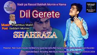 Shah raza maliri  new song 2023  dil garata [upl. by Adnoved]