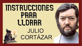 INSTRUCCIONES PARA LLORAR Julio Cortázar [upl. by Ahsie992]