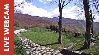 Webcam Live Rifugio Burigone LU  Garfagnana [upl. by Imis]