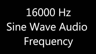 16000 Hz 16 kHz Sine Wave Sound Frequency Tone [upl. by Ahsenrat]