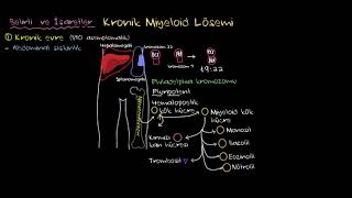 Kronik Miyeloid Lösemi KML Nedir Sağlık Bilgisi ve Tıp [upl. by Ahsinyd848]