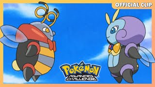 Volbeat amp Illumise  Pokémon Advanced Challenge  Official Clip [upl. by Buskirk]