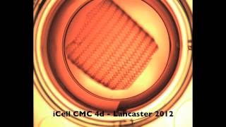 iCell Cardiomyocyte Patch in Vitro [upl. by Mcdermott152]