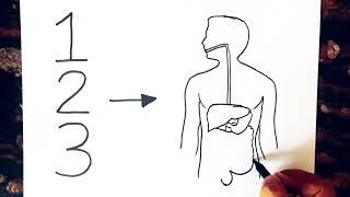 How to draw Human digestive system diagram class 10  Science diagram [upl. by Azile]