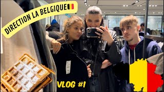 Mon arrivée en Belgique train euralille Bruxelles…  vlog 1 [upl. by Haibot]