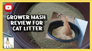 CHICK FEED REVIEW grower mash ALTERNATIVE CAT LITTER [upl. by Laspisa548]