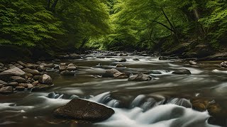 river sound for sleeping and relaxation7 hours water white noise [upl. by Herald]