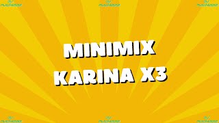 Minimix Karina X3  Dj Puchooo [upl. by Pownall104]