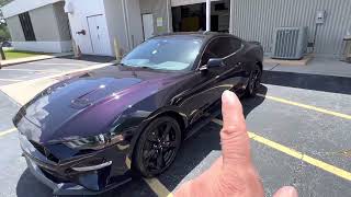 2023 Mustang GT Mischievous Oil Slick BluePurple Walk Around [upl. by Scarito]