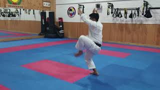 Arimoto Sensei JKS Ireland Honbu Dojo 2018 [upl. by Olonam]