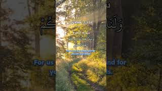 قل اتحاجوننا فى اللهSurah albaqarahتلاوةالقرآن quran اكسبلور سورةالبقرة shortfeed2024 [upl. by Lyman]