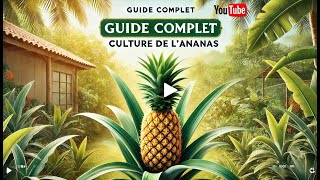 Comment Cultiver des Ananas chez Vous  Astuces et Conseils pour une Récolte Tropicale  🍍🌱quot [upl. by Ycnej252]