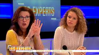 Les Experts  Karine Lalieux PS et Georges Dallemagne cdH  13012018 [upl. by Stillmann402]