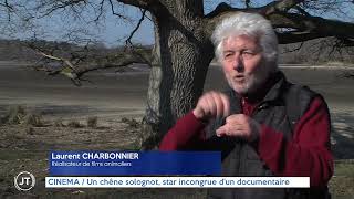 CINEMA  Un chêne solognot star incongrue dun documentaire [upl. by Behl]