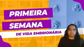 Primeira semana de desenvolvimento embrionário humano [upl. by Orrin708]