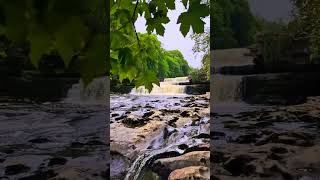 Aysgarth Falls Yorkshire Dales National Park🏴󠁧󠁢󠁥󠁮󠁧󠁿  15th September 2024 travel yorkshire [upl. by Ylrebnik]